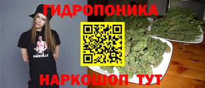 гидра Наро-Фоминск